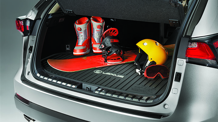 Accessories | Lexus Brazil