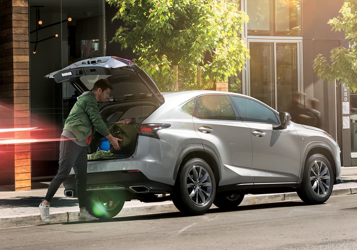 Acessórios | Lexus Brazil