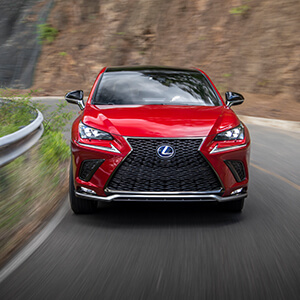 La Marca F | Lexus Panama