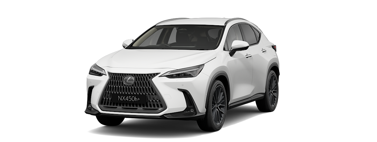 NX 450h+ Plug-in