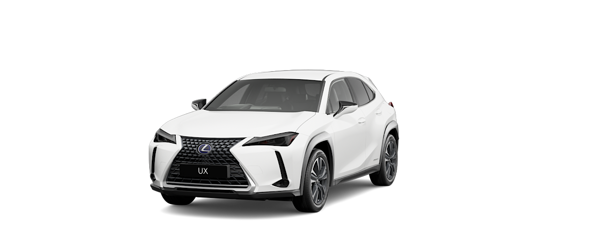 UX 300h